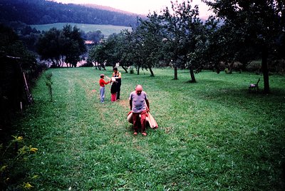 Vintage orchard scene with three adults in rural setting. Man in striped shirt sits on grass holding a bag, while two others ...