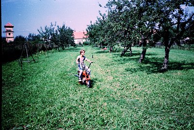 Vintage photo of a child riding a small orange lawnmower in a lush, tree-lined grassy area. A red-roofed building and watchto...