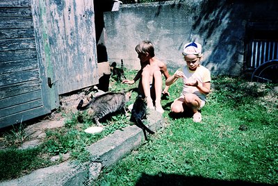 Two children interact with cats in a backyard, 1960s-1970s. Shaded concrete steps, faded green door, and overgrown grass sugg...