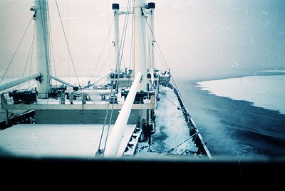Another photo from this roll