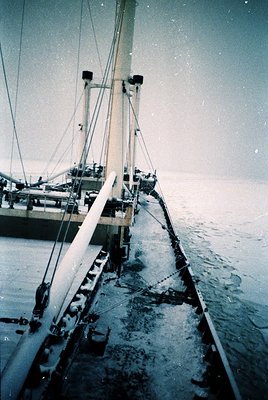 Another photo from this roll