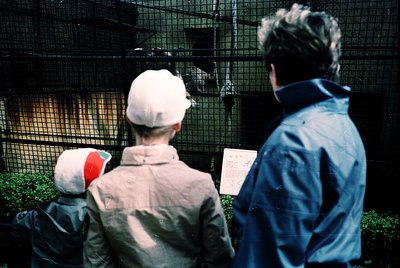 Two individuals observe a caged animal exhibit, likely a zoo or wildlife park. The person on left wears a white cap and light...