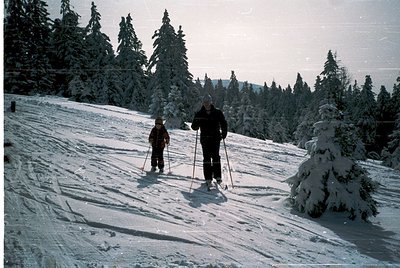 Two cross-country skiers traverse a snow-covered forest trail, flanked by evergreen trees. Mid-20th century attire suggests o...