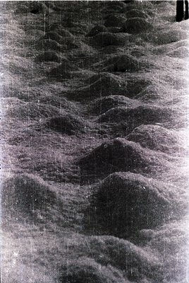 Vintage black-and-white photograph of a densely packed, undulating crowd in motion, likely at a public event or gathering. Th...