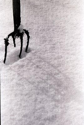 Black-and-white close-up of a **forked garden tool** (likely a pitchfork) embedded in a **rough-textured wall or surface**, s...