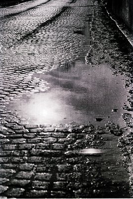 Cobblestone street reflecting light in a shallow puddle, likely post-rain. The texture and arrangement suggest historic Europ...