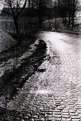 Mid-century cobblestone street glistening post-rain, framed by stone walls and sparse trees. A lone cyclist ascends a gentle ...