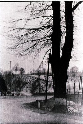 Barren winter landscape with skeletal trees and rocky terrain. Fenced area with utility poles and a lone stone marker. Likely...