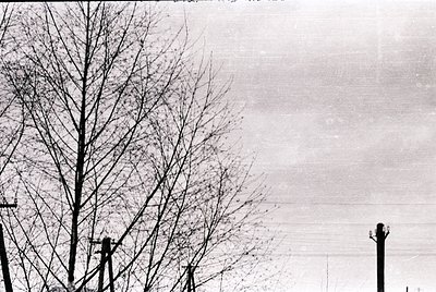 Black-and-white urban landscape featuring leafless trees and power lines against a hazy sky. Minimalist composition highlight...