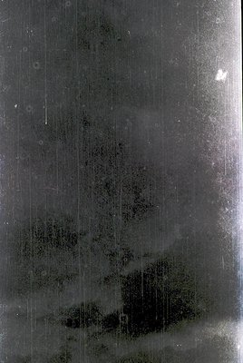 Vintage monochrome photo of a rain-streaked window reflecting a dense forest. Vertical water trails blur the view, creating a...
