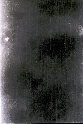 Vintage black-and-white negative showing abstract, high-contrast tree foliage against a blurred sky. Dense, textured leaves d...