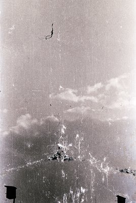 Vintage black-and-white aerial view of a coastal forest, likely taken from a low-altitude flight. Dense tree canopy dominates...