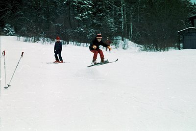 Three skiers in vintage gear navigate a wooded slope, mid-1970s. Snow-covered pines frame the scene, with one skier in red pa...