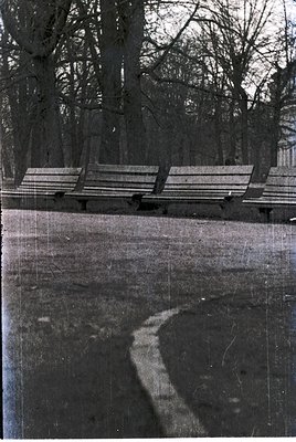 Vintage black-and-white shot of three wooden park benches aligned along a curved gravel path in a wooded area. The scene sugg...