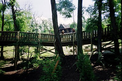 Wooden boardwalk winding through dense forest, partially submerged in shallow water. Two figures seated on a wooden deck at t...