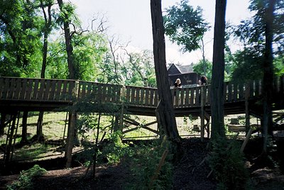 Rustic wooden boardwalk winding through dense forest, partially obscured by lush greenery. Two figures seated on a small wood...