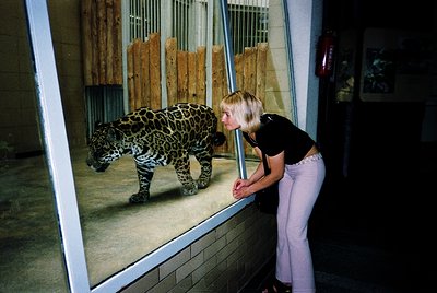 A woman in casual 1990s attire leans close to a glass barrier observing a jaguar in an indoor enclosure. The enclosure featur...