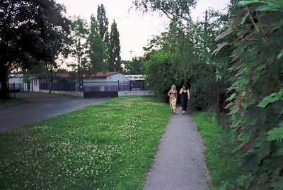 Two individuals stroll along a paved pathway bordered by dense greenery and wildflowers, likely in an urban park or campus. T...