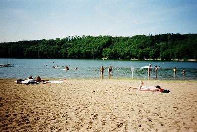 Sun-drenched lakeside beach scene with golden sand and clear water. People sunbathe, swim, and wade near a forested shoreline...