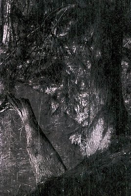 Vintage black-and-white aerial photograph showing a network of agricultural fields divided by dirt paths, likely in a tempera...