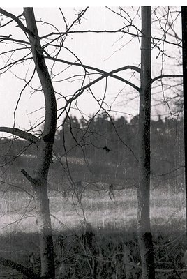 Black-and-white winter landscape featuring leafless trees framing a misty, snow-covered field. Distant figures appear as silh...