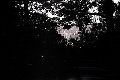 Black-and-white aerial view of a densely forested area with a faint outline of urban structures below. Likely a mid-20th cent...