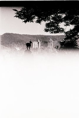 Vintage black-and-white shot of a lone deer standing on rocky terrain, with a grand, multi-story alpine resort in the backgro...