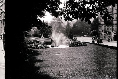 Black-and-white street scene featuring a man watering a circular garden bed with a hose, surrounded by lush greenery and matu...