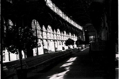Vintage black-and-white shot of a grand indoor market hall with iron-and-glass arched roofing, showcasing 19th-century indust...