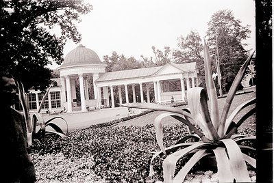 Neoclassical pavilion with domed roof and Ionic columns in a landscaped garden, surrounded by large agave plants. Mid-20th ce...