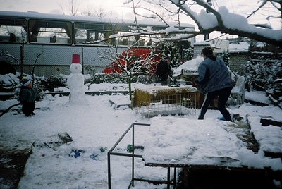 Winter scene featuring a snow-covered residential area with a child building a snowman beside a red hat. Adjacent, an adult s...