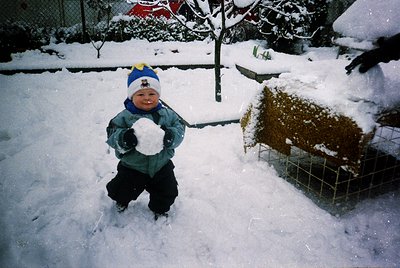 Young child in winter attire holds a snowball in a residential backyard covered in snow. Snow-laden trees, a metal fence, and...