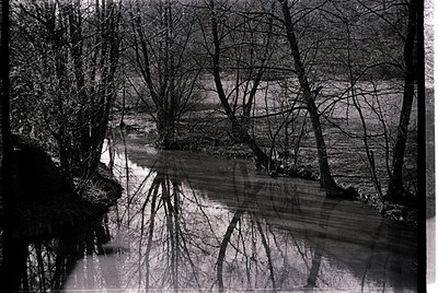Black-and-white reflection shot of leafless trees mirroring in calm water, likely autumn/winter. Symmetrical composition high...