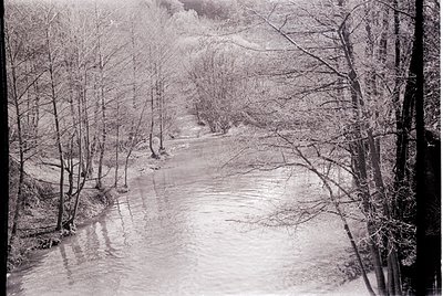 Winter forest path blanketed in snow, flanked by leafless trees. Reflective stream runs through center, bordered by stonework...