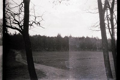 Barren forest clearing framed by leafless trees, likely late autumn/winter. Monochrome print suggests vintage or archival ori...
