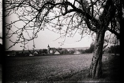 Black-and-white rural landscape featuring a leafless tree branch framing a distant church with a tall steeple. Open fields an...