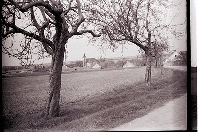 Rural roadside scene with leafless trees framing a grassy field. Distant church steeple and farm buildings suggest a quiet vi...