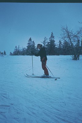 Skiier in classic stance on groomed slope, wearing red pants and black jacket, mid-1960s alpine style. Snow-covered pine fore...