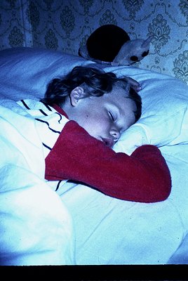 A child sleeps peacefully under a floral-patterned quilt, wearing a striped long-sleeve shirt and a red cardigan. A small dog...