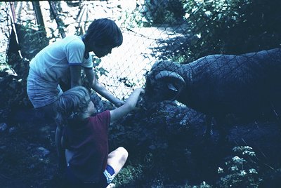 Two individuals interact with an elephant in an enclosed, natural setting. The adult assists a child feeding or touching the ...