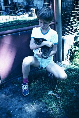 A young boy in 1970s-style shorts and sneakers holds a small, dark-coated kitten in a grassy outdoor setting. Fenced enclosur...