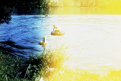 Golden-hour sunlight bathes a serene river scene with two inflatable rafts and a lone figure paddling. Lush reeds frame the f...