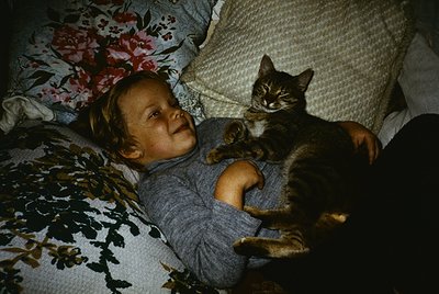 A tender moment captured: a young child and a gray tabby cat share a cozy bed. The child, dressed in a long-sleeve shirt, gaz...