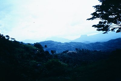 Vintage landscape shot of misty, rolling hills under a pale blue sky. Dense greenery and scattered trees frame a distant moun...