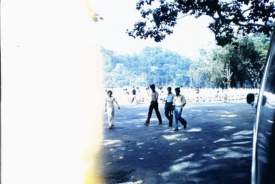 Vintage photo of a wide, tree-lined park pathway with mid-20th-century attire—men in button-down shirts and slacks. Dense gre...