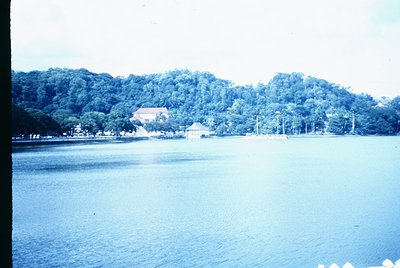 Vintage sepia-toned coastal scene with dense green foliage framing a waterfront. Prominent whitewashed building with red-tile...