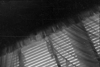 A black and white photograph showing a close-up of a curtain with light filtering through horizontal slats. The image is diag...