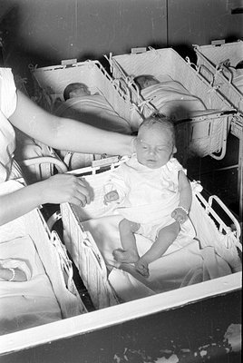 A black and white photograph of infants in a nursery. One baby is awake and dressed in a white gown, sitting in a white bassi...