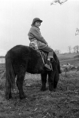 A child sits atop a dark-coated horse in an open field with dry grass and sparse trees. The child wears a cap, jacket, and lo...