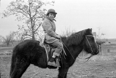 A young child rides a dark-colored horse in an outdoor setting, wearing a cap, jacket, and jeans. The horse has a bridle and ...